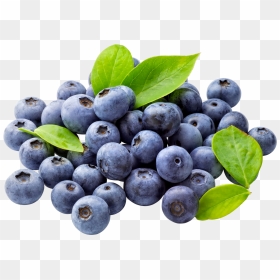 Transparent Background Blueberries Clipart, HD Png Download - blueberry png