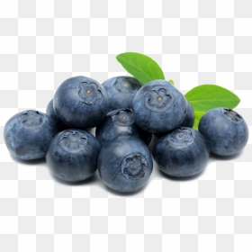Blueberries Png Hd Image - Transparent Background Blueberries Clipart, Png Download - blueberry png