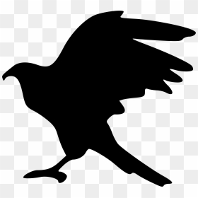 Hawk Transparent Png - Silhouette Birds Eagle, Png Download - hawk png