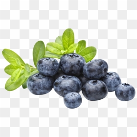 Blueberry Png Image - Blubarry Png, Transparent Png - blueberry png