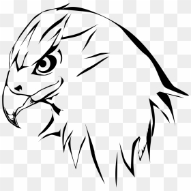Hawk Png Black And White Transparent Hawk Black And - Red Tailed Hawk Head Drawing, Png Download - hawk png