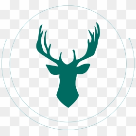 Deer Antler Png - Buck Silhouette Deer Head Clipart Black And White, Transparent Png - reindeer png