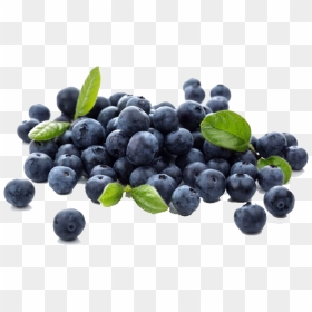 Transparent Blueberry Png - Blueberries Png, Png Download - blueberry png