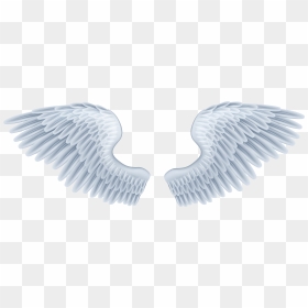 15 Baby Angel Wings Png For Free Download On Mbtskoudsalg - Baby Angel Wings Png, Transparent Png - fairy wings png