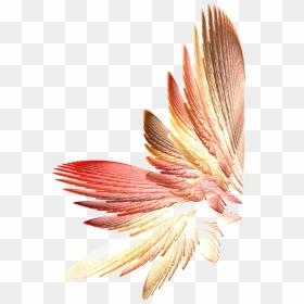 Tinkerbell Wings Png Download - Flowers Wing Png, Transparent Png - fairy wings png
