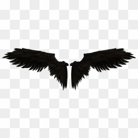 Transparent Angel Wings Symbol, HD Png Download - fairy wings png