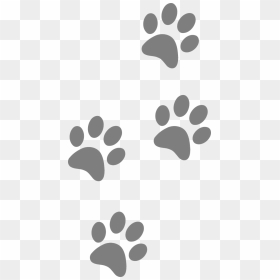 Clip Art Tiger Paws, HD Png Download - dog paw png
