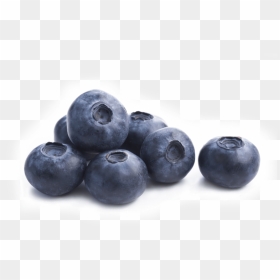 Single Blueberry Png - Foods To Increase Beauty, Transparent Png - blueberry png