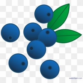 Berries Blueberries Clip Art - Red Berries Clip Art, HD Png Download - blueberry png