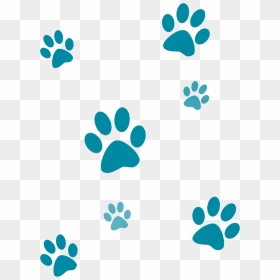 Transparent Dog Paw Prints Png - Teal Paw Prints Background Png, Png Download - dog paw png