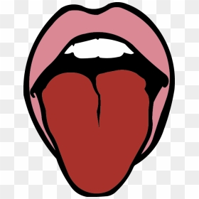 Lips And Tongue Graphic - Tongue Clipart, HD Png Download - tongue png