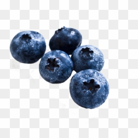 Blueberry - Real Fruit Pictures To Print, HD Png Download - blueberry png