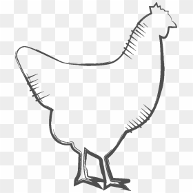 Transparent Chicken Drawing Png - พัดลม ติด ผนัง 16, Png Download - table fan png