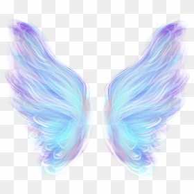 Angel Neon Fairy Wings, HD Png Download - fairy wings png