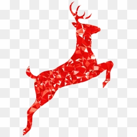 Holiday Ornament,reindeer,deer - Red Deer Clip Art, HD Png Download - reindeer png