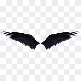 Thumb Image - Angel Wings Png Black, Transparent Png - wing png