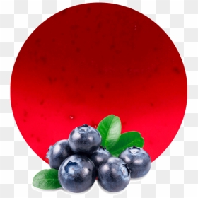 Blueberries Purple Png, Transparent Png - blueberry png