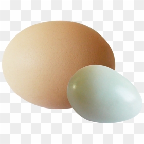 Eggs - Oval, HD Png Download - eggs png