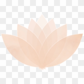 Maple Leaf, HD Png Download - aura png