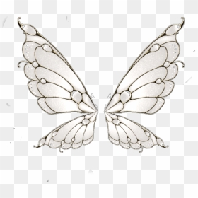 Fairywings Wings Fairies @laetitiadez - Swallowtail Butterfly, HD Png Download - fairy wings png