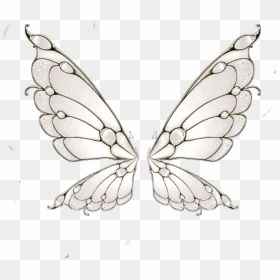 Butterflies Drawing Fairy - Pink Fairy Wings Png, Transparent Png - vhv