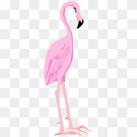 Flamingo, HD Png Download - pink png