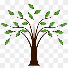 Tree Vector - Tree Free Clip Art, HD Png Download - tree vector png
