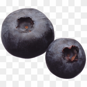 Blueberry - Blueberries, HD Png Download - blueberry png