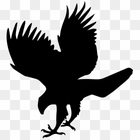 Hawk Bird Animal Shape - Hawk Icon, HD Png Download - hawk png