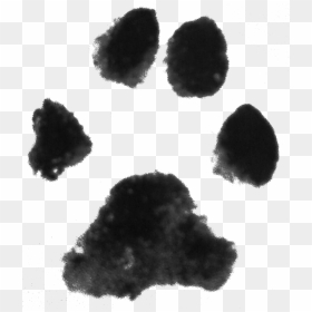 Dog Paw Print Clipart Clipart Free Library Image - Dog Paw Print Transparent Background, HD Png Download - dog paw png