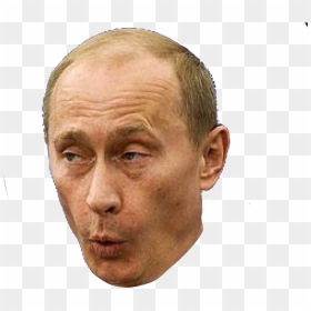 Surprised Putin Putin Png Putin Png Face Expression - Vladimir Putin Face Transparent, Png Download - putin png