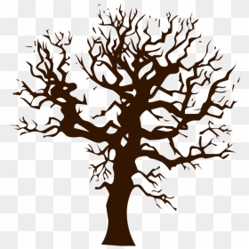 Transparent Tree Of Life Vector Png - Vans Old Skools Drawing, Png Download - tree vector png