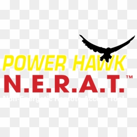 Transparent Hawk Png - Power Hawk Technologies, Png Download - hawk png