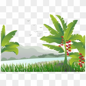 Banana Leaf Tree Illustration - Banana Tree Vector Png, Transparent Png - tree vector png