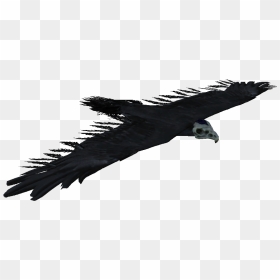 Skyrim Bone Hawk , Png Download - The Elder Scrolls V: Skyrim, Transparent Png - hawk png