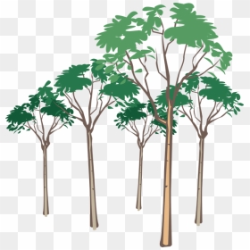 Tree Vector Png, Transparent Png - tree vector png