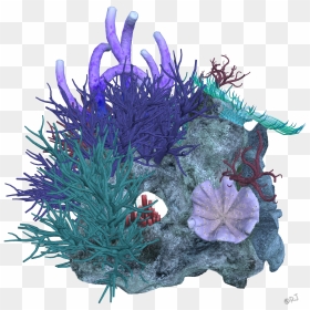Reef Deep Sea Transprent - Coral Image Transparent Background, HD Png Download - coral png