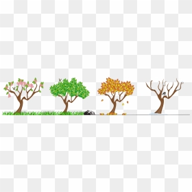 Trees Vector Image - School Seasons, HD Png Download - tree vector png