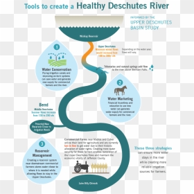 Brochure, HD Png Download - river png