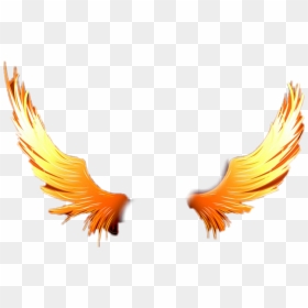 Transparent Demon Wing Png - Wings On Fire Png, Png Download - wing png