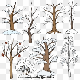 Set Of Winter Trees Vector - Creative Arts, HD Png Download - tree vector png