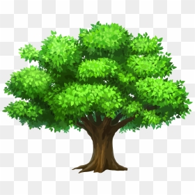 14 Pine Tree Vector Free Down - Tree Clipart, HD Png Download - tree vector png