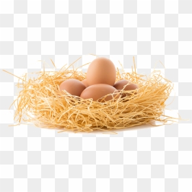 Brown Eggs Png, Transparent Png - eggs png