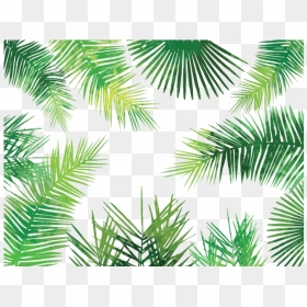 Watercolor Palm Leaves Png - Transparent Tropical Leaves Background Png, Png Download - palm leaf png