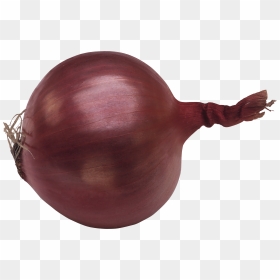 Onion Png Image - Фиолетовый Лук Png, Transparent Png - onion png
