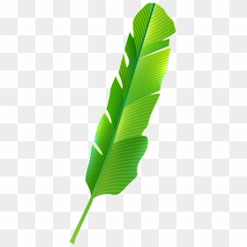 Tropical Leaf Png Clip Art, Transparent Png - palm leaf png