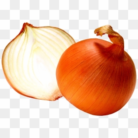 Open Onion - Onion Transparent Png, Png Download - onion png