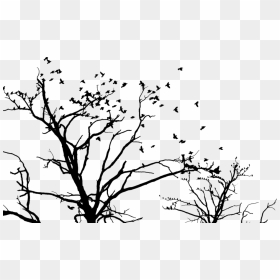 Tree And Birds Png, Transparent Png - tree vector png