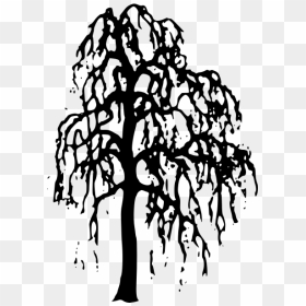 Willow Tree Vector Image - Willow Tree Silhouette Png, Transparent Png - tree vector png
