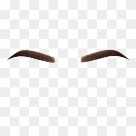 #eyebrows #brows #brow #eyebrow #makeup #beauty #liner - Eyebrows On Fleek Transparent, HD Png Download - eyebrows png